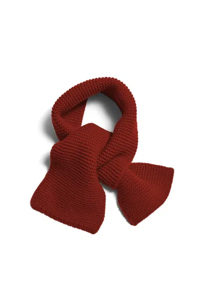 Demylee New York Women's Cadfan Mini Scarf In Brown Wool In Red
