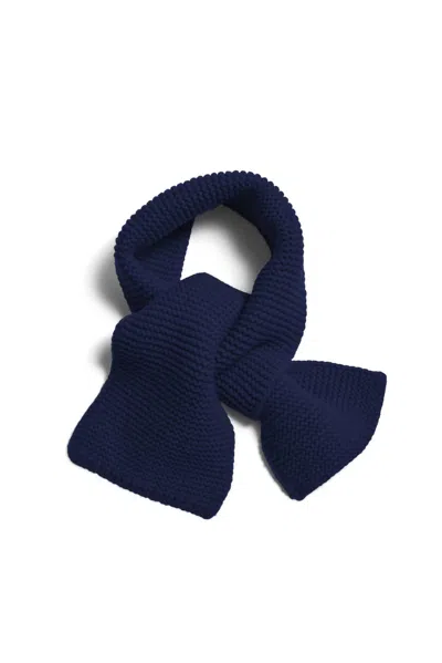 Demylee New York Women's Cadfan Mini Scarf In Navy Wool In Black
