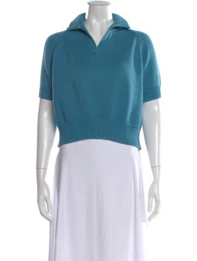 Pre-owned Demylee V-neck Sweater In Blue