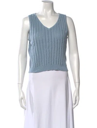 Pre-owned Demylee V-neck Sweater In Blue