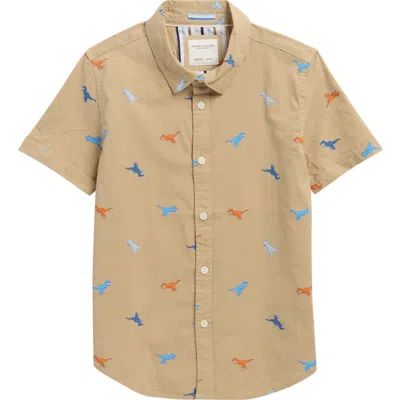Denim And Flower Kids' Multicolor Dinos Button-up Shirt In Brown