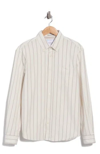 Denim And Flower Stripe Button-down Shirt In White