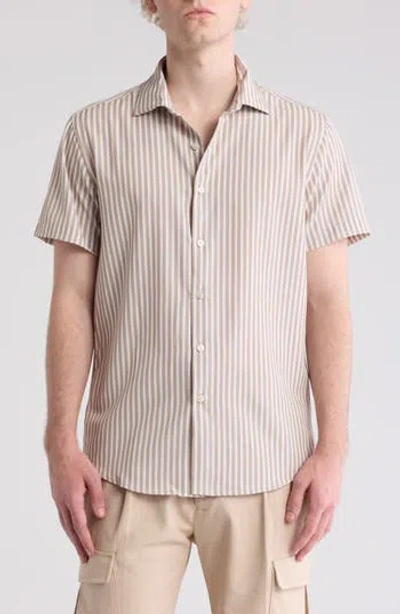 Denim And Flower Stripe Dressy Short Sleeve Button-up Tech Shirt In Beige