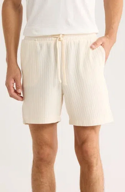 Denim And Flower Vertical Stripe Shorts In White