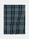 Denis Colomb Nara Cashmere Blanket (79in/2m) In Blue