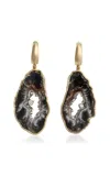 Denise Cassou 18k Yellow Gold Breath Earrings In Black