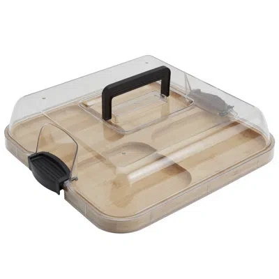 Denmark Tools For Cooks 4-section Bamboo Charcuterie Board With Locking Plastic Lid And Handle In Brown;clear