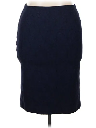 Pre-owned Dennis By Dennis Basso Formal Skirt In Blue