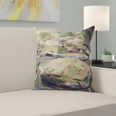 Deny Designs Catherine Mcdonald Pescadero Creek Indoor/outdoor Throw Pillow