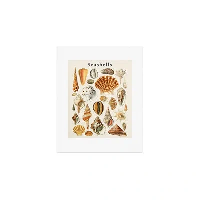 Deny Designs Gal Design Seashells Collection Art Print - Unframed In Cream
