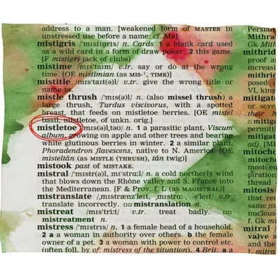 Deny Designs Mistletoe Dictionary Art Plush Fleece Throw Blanket In Green