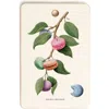 Deny Designs Pizza Plant Cutting Board In Multi