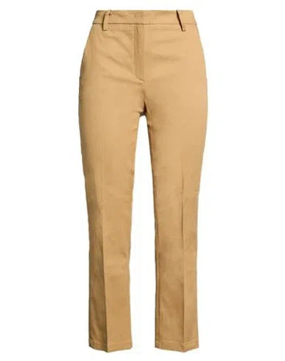 Department Five Department 5 Woman Pants Camel Size 31 Cotton, Elastane In Brown