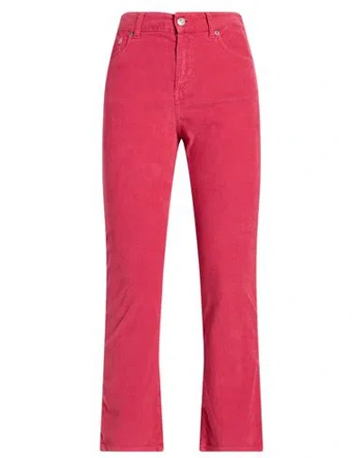 Department Five Department 5 Woman Pants Magenta Size 25 Cotton, Elastane In Pink