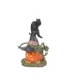 Department Five Village Feline Noir 2025 Accessory In Multi