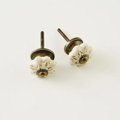 Depera Home Alora Ceramic Cabinet Knobs (set Of 2) In Multi