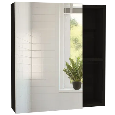 Depot E-shop Andes Medicine Cabinet With Mirror Black Wengue