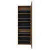 Depot E-shop Baltimore Wall Mounted Shoe Rack, Mirror, Single Door, Ten Shoes Capacity In Brown