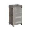 Depot E-shop Lansing Bar Cart With Glass Door, 2-side Shelves And Casters, Light Gray