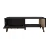 Depot E-shop Lenoir Coffee Table, 1 Door, 1 Shelf, Black / Natural Oak In Black