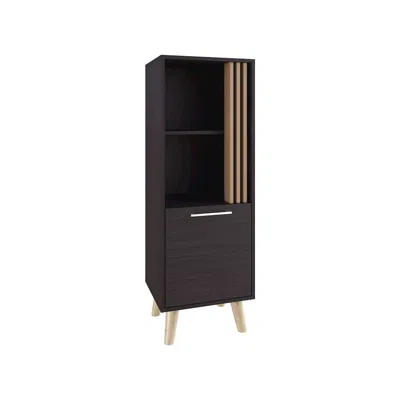 Depot E-shop Orrin Storage Cabinet, 1 Door, 2 Shelves, Black / Natural Oak In Brown
