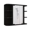 Depot E-shop Roma Mirrored Medicine Cabinet Black Wengue