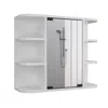Depot E-shop Roma Mirrored Medicine Cabinet White
