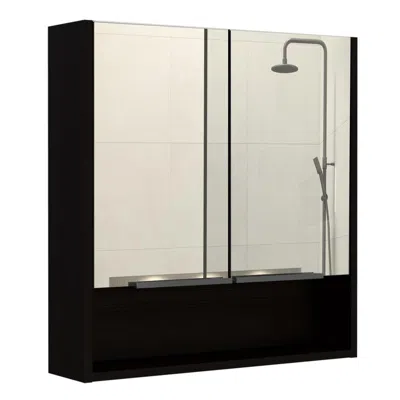 Depot E-shop Tatacoa Mirror Cabinet Black Wengue