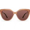 Derek Lam 10 Crosby Campbell Sunglasses In Mocha