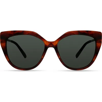 Derek Lam 10 Crosby Campbell Sunglasses In Tiger Stripe