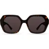 Derek Lam 10 Crosby Neptune Sunglasses In Tortoise