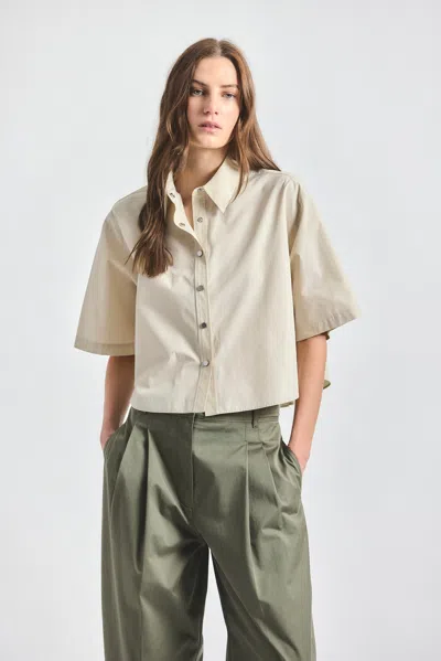 Derek Lam 10 Crosby Olivia Cropped Short Sleeve Shirt In Multi