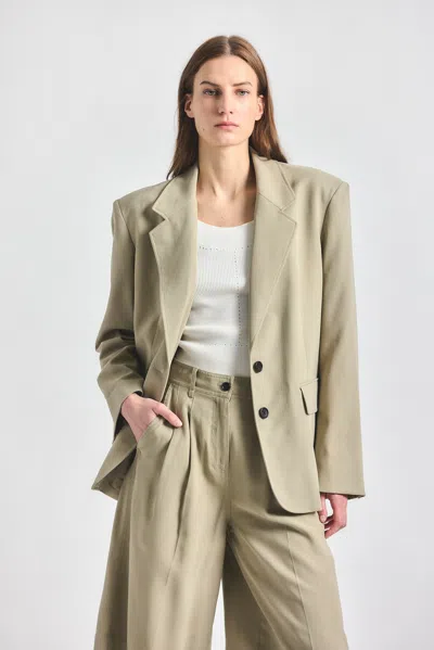Derek Lam 10 Crosby Poppy Oversized Blazer In Brown