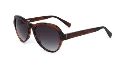 Derek Lam Logan Bwnst Men's Sunglasses Brown Size 52