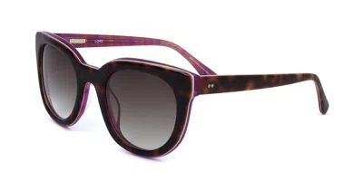Derek Lam Lore Tort Women's Sunglasses Tortoiseshell Size 50