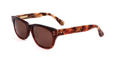 Derek Lam Parkl Ltort Men's Sunglasses Tortoiseshell Size 53 In Brown