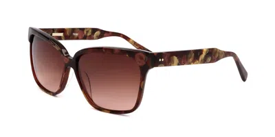 Derek Lam Tess Cognac Men's Sunglasses Brown Size 53