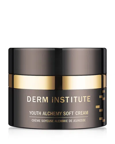 DERM INSTITUTE DERM INSTITUTE YOUTH ALCHEMY SOFT CREAM,300053933