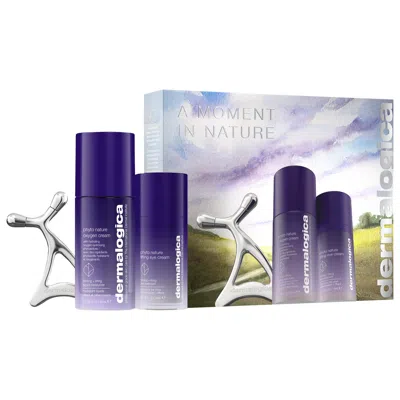 Dermalogica A Moment In Nature Set