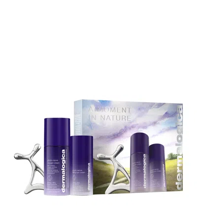 Dermalogica Moment In Nature Gift Set In Transparent
