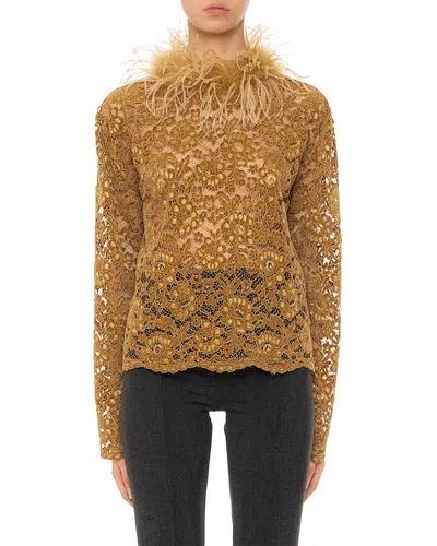 Des_phemmes Feather Trim Lace Top In Brown