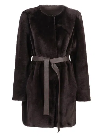 Desa 1972 Coat In Brown
