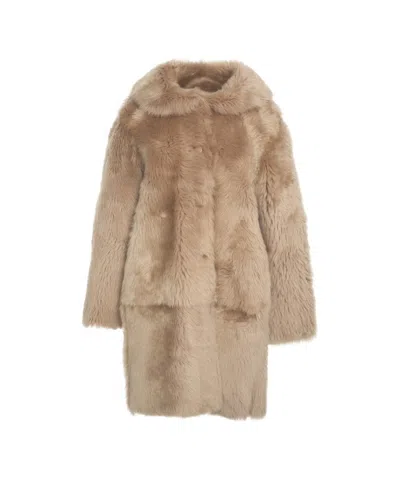 Desa 1972 Lamb Fur Coat With Wide Shawl Collar And Hidden Button Closure In Brown