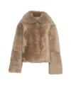 Desa 1972 Shearling Jacket With Oversized Collar And Relaxed Fit In Brown