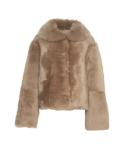 Desa 1972 Shearling Jacket With Oversized Collar And Relaxed Fit In Brown