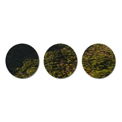 Design Art 3 Piece Arial View Of Woods Wall Décor Set In Black;yellow