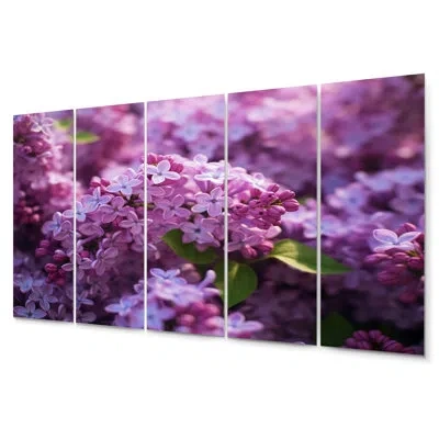 Design Art 5 Wall Decor Set In Green;purple