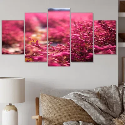 Design Art 5 Wall Decor Set In Pink