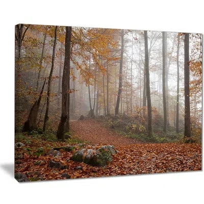 Design Art Autumn Forest In Germany - Wrapped Canvas Photograph Print In Brown