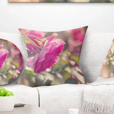 Design Art Beautiful Pink Rose Flowers - Floral Printed Pillow